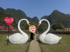 -靖西鹅泉风景区