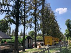 -前小桔亲子创意农场·草莓采摘·露营烧烤