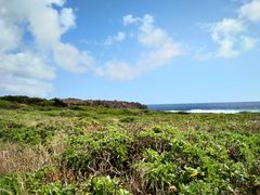 -龙坑生态保护区