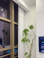 -JNK皮肤管理中心