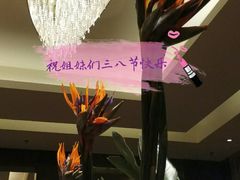 -上海西藏大厦万怡自助餐厅(徐汇店)