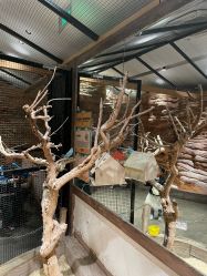 -造物庄园 萌宠纪(苏州湾歌林公园店)