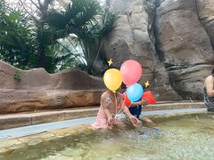 -杭州开元森泊度假乐园