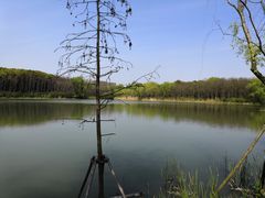 -昆山城市生态森林公园
