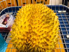 -麦德龙(闵行店)