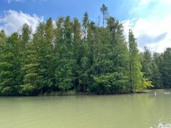 -上海海湾国家森林公园