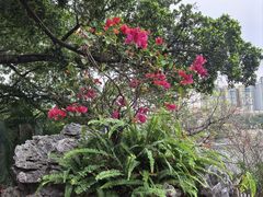-荔湾湖公园