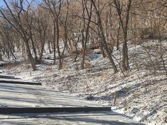 -帽儿山国家森林公园