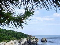 -大连金石滩滨海国家地质公园