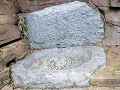 -南海湾森林生态园