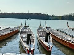 -上海海湾国家森林公园