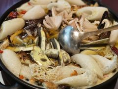 -蘑统田下·野生菌火锅