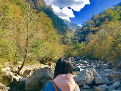 -青峰峡国家森林公园