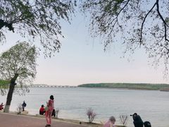 -丁香湖公园