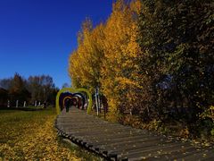 -北极村旅游风景区
