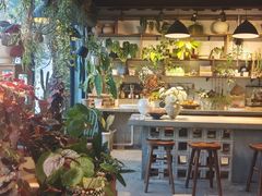 -自由生长植物工作室(深港花卉中心店)