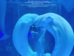 -上海海昌海洋公园