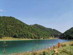 -武陵山森林公园