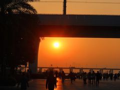 -宝安西湾红树林湿地公园