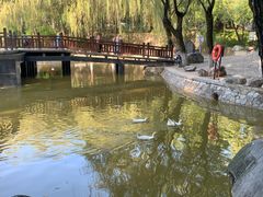 -西安市长乐公园