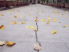 -艾提尕尔清真寺