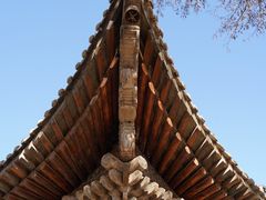 -张掖大佛寺景区