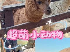 -盈香心动乐园