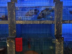 -鑫鸿达·海鲜闽菜热炒小馆(中山路店)