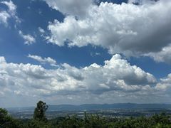 -风云岭森林公园