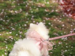 -龙美术馆(西岸馆)