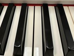 -MusicLife音乐(浦东校区)