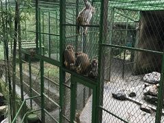 -藏龙百瀑风景区