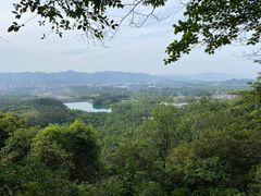 -大奇山国家森林公园