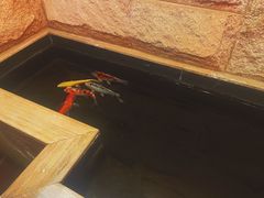 -小山城·馋嘴蛙(亚运村店)