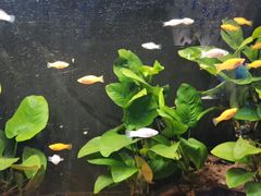 -嘉兴海底世界