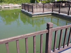-绿岛公园(滨海新区)