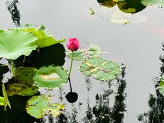 -锦溪古镇