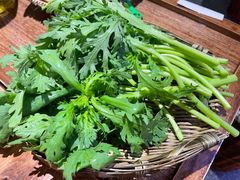 茼蒿-楠火锅(龙阳广场店)