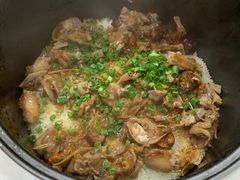 -东鸽皇(奥园·中环广场店)