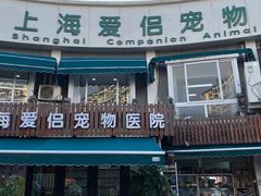 -爱侣宠医·鹦鹉专科·小型哺乳类·异宠专科(灵石路店)