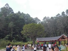 -火炉山森林公园