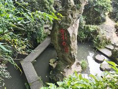 -杭州黄龙洞
