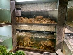 -甄御•海鲜新青岛菜(麦岛店)