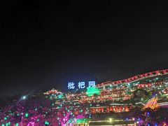 -枇杷园食为鲜火锅(南山店)