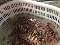 -沙田台山海鲜·酣客酒窖