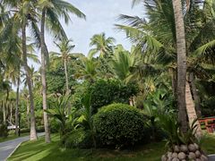 -海南分界洲岛旅游区