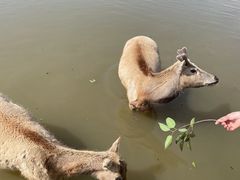 -宁波杭州湾国家湿地公园