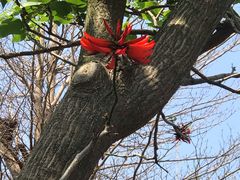 -大嶝英雄三岛战地观光园