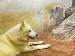 -海合安武汉极地海洋公园