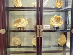 面包甜点陈列柜-陶然轩(沙面店)